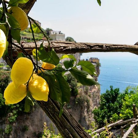 Hotel La Pergola Amalfi Exterior photo