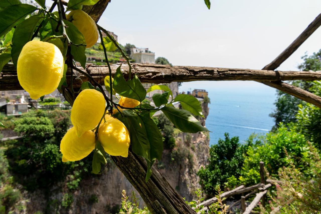 Hotel La Pergola Amalfi Exterior photo